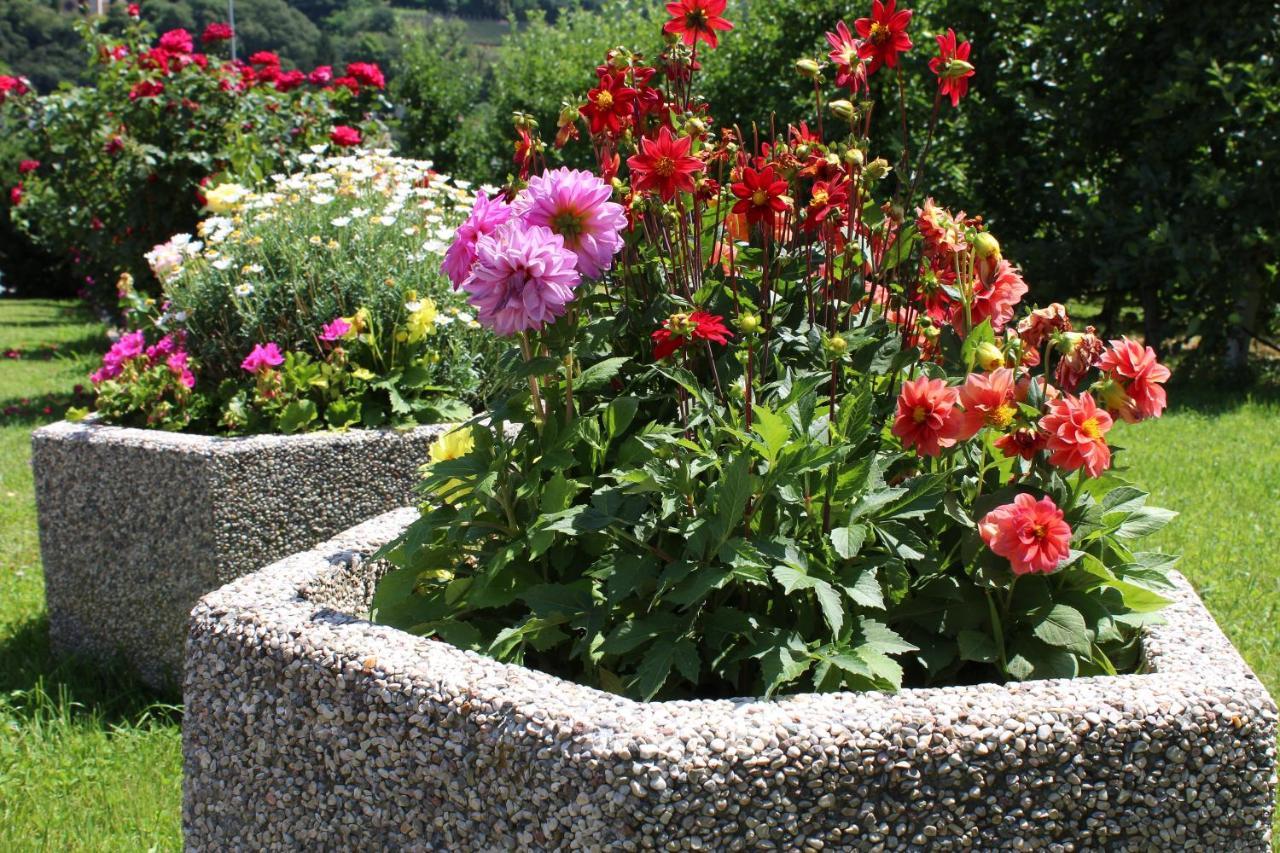 Gruberhof Bed & Breakfast Postal / Burgstall Dış mekan fotoğraf